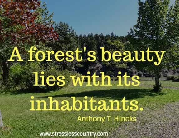 A forest's beauty lies with its inhabitants.
