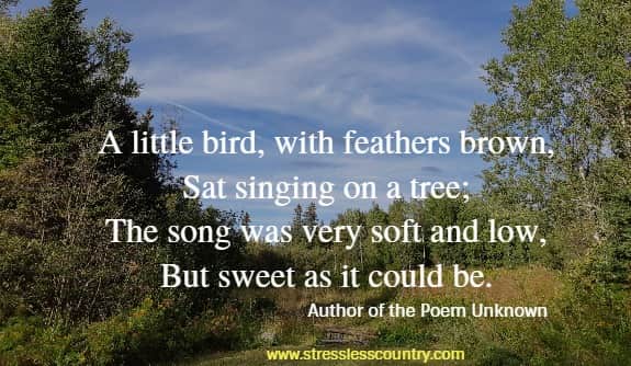 A little bird, with feathers brown, Sat singing on a tree; The song was very soft and low, But sweet as it could be. Author of the Poem Unknown