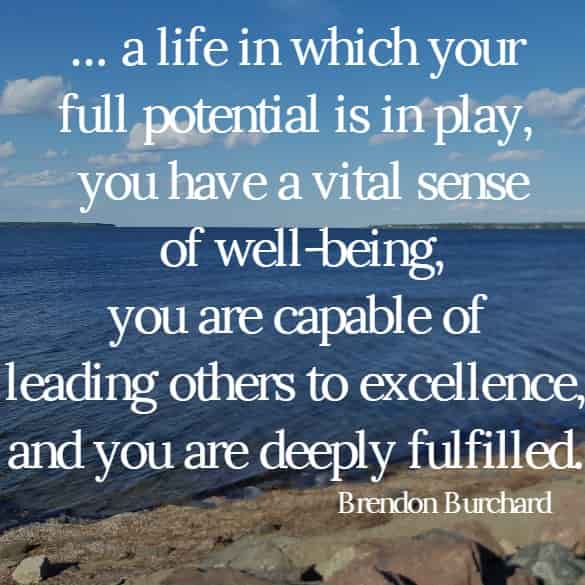 ... a life in which your full potential is in play, you have a vital sense of well-being, you are capable of leading others to excellence, and you are deeply fulfilled.