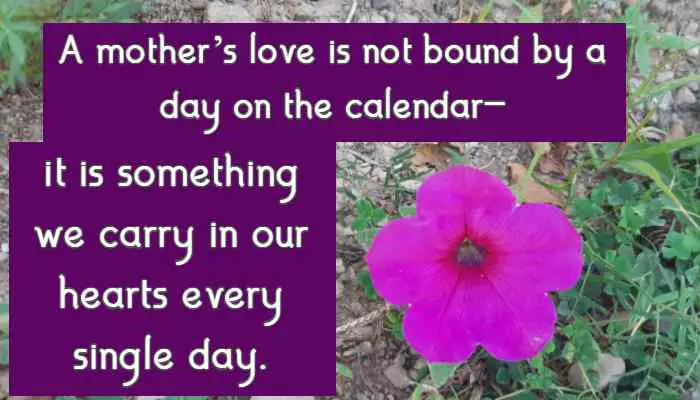 A mother’s love is not bound by a day on the calendar— it is something we carry in our hearts every single day.