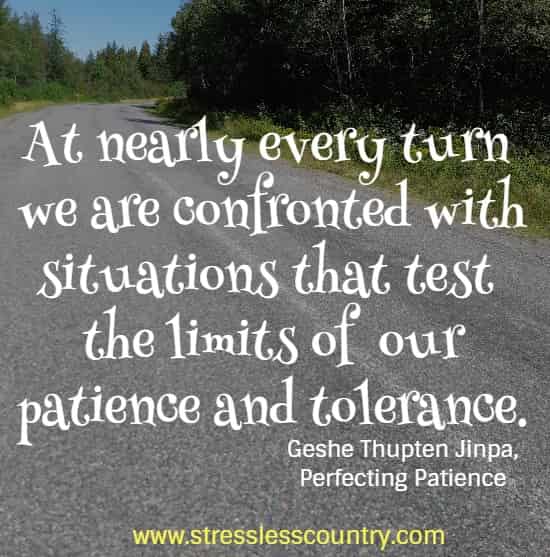 at nearly every turn we are confronted with  situations that test the limits of our patience and tolerance.  Geshe Thupten Jinpa