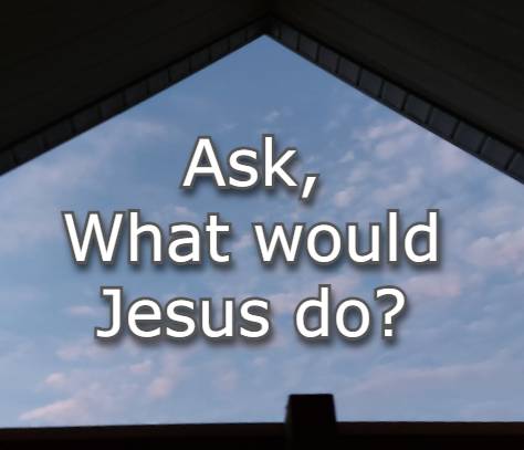 ask, what would Jesus do?