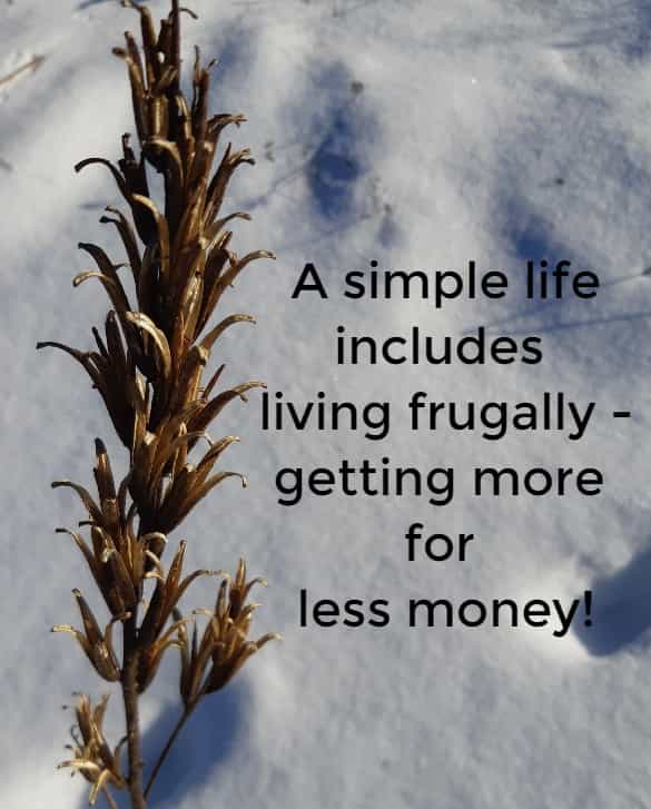 a simple life includes living frugally