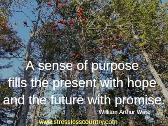 A sense of purpose fills the present with hope and the future with promise.