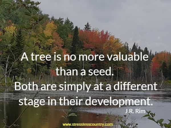 A tree is no more valuable than a seed. Both are simply at a different stage in their development.