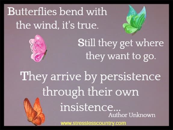 butterflies show persistence...