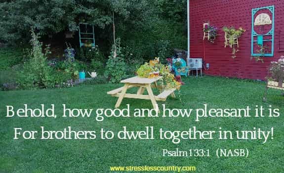Behold, how good and how pleasant it is For brothers to dwell together in unity! Psalm 133:1  (NASB)