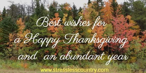 Best wishes for a Happy Thanksgiving and  an abundant year