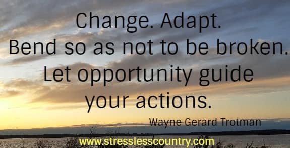 Change. Adapt. Bend so as not to be broken. Let opportunity guide your actions.