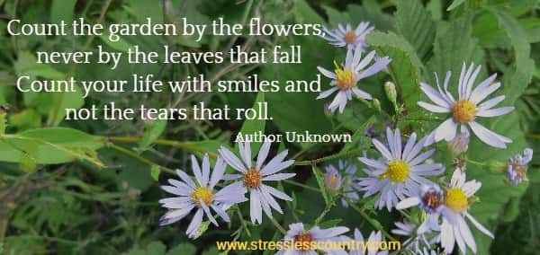Count the garden by the flowers, never by the leaves that fall - count your life with smiles and not the tears that roll. 
