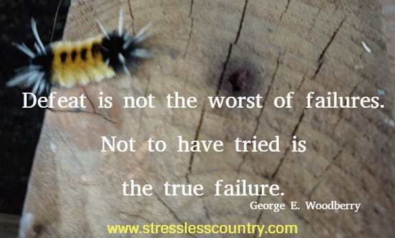 Defeat is not the worst of failures. Not to have tried is the true failure.
