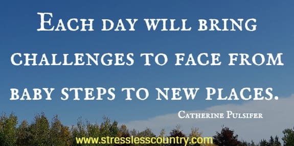 Each day will bring challenges to face from baby steps to new places.