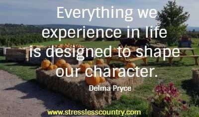 Everything we experience in life is designed to shape our character. 