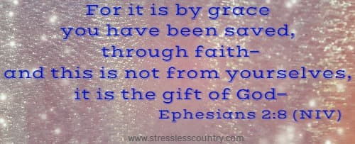 For it is by grace you have been saved, through faith—and this is not from yourselves, it is the gift of God— Ephesians 2:8