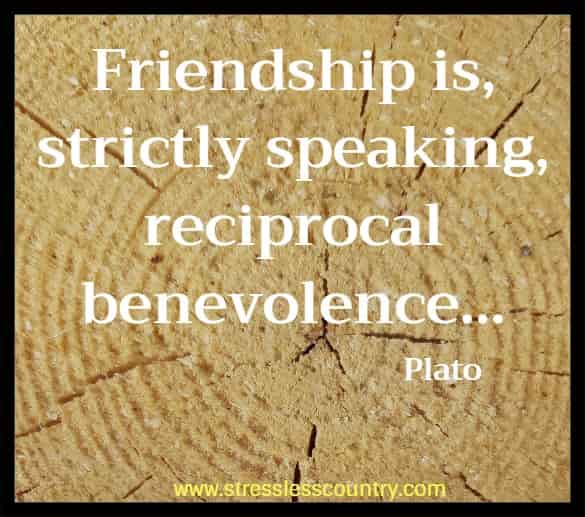 Friendship is, strictly speaking, reciprocal benevolence ...