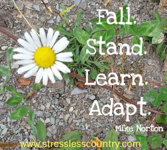 Fall. Stand. Learn. Adapt