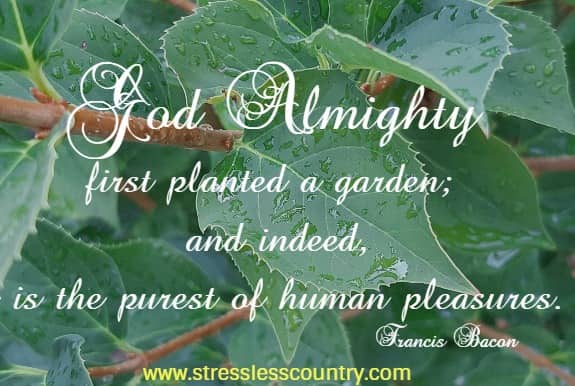 God Almighty first planted a garden; and indeed, it is the purest of human pleasures. Francis Bacon