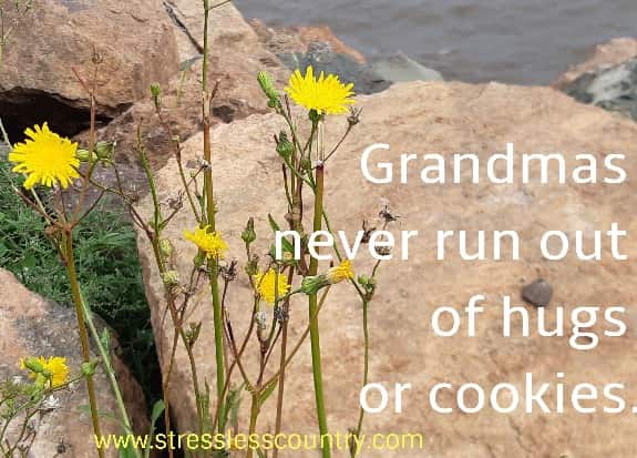 Grandmas never run out of hugs or cookies
