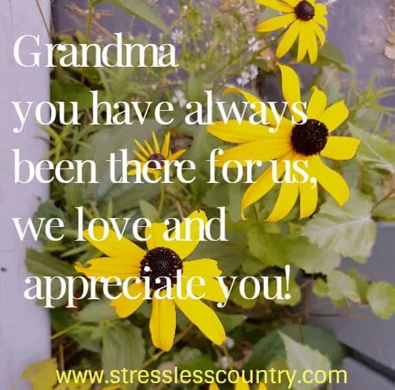 Grandma you have always been there for us, we love and appreciate you
