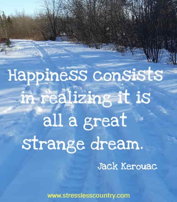 Happiness consists in realizing it is all a great strange dream.