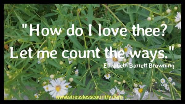 How do I love thee? Let me count the ways.  Elizabeth Barrett Browning