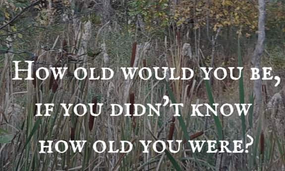 How old would you be, if you didn't know how old you were?