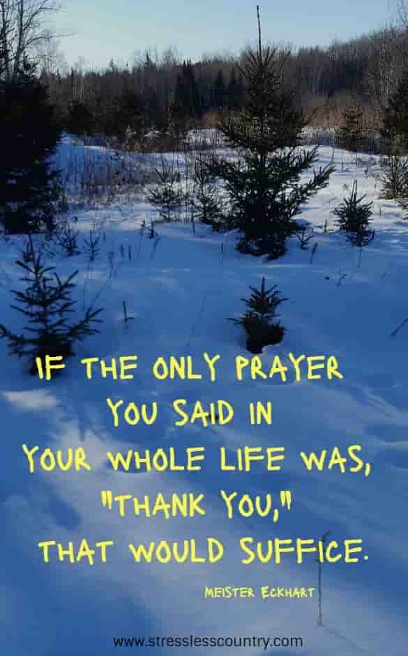 If the only prayer you said in your whole life was, thank you, that would suffice.