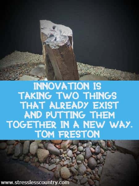 Innovation is taking two things that already exist and putting them together in a new way.