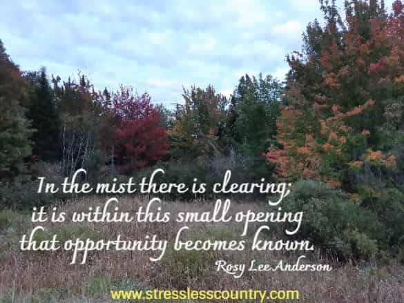 In the mist there is clearing; it is within this small opening that opportunity becomes known.