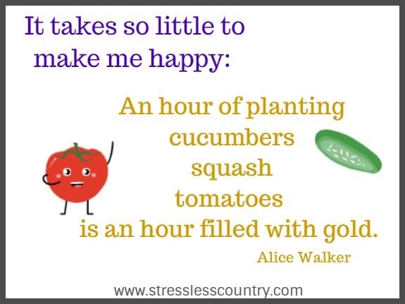 	It takes so little to make me happy: An hour of planting cucumbers squash tomatoes is an hour filled with gold. Alice Walker