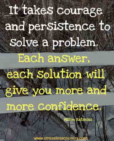 It takes courage and persistence to solve a problem. Each answer, each solution will give you more and more confidence.