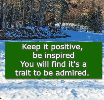Keep it positive, be inspired You will find it's a trait to be admired.