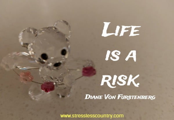 Life is a risk
