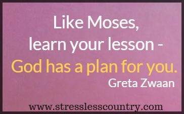Like Moses, learn your lesson - God has a plan for you