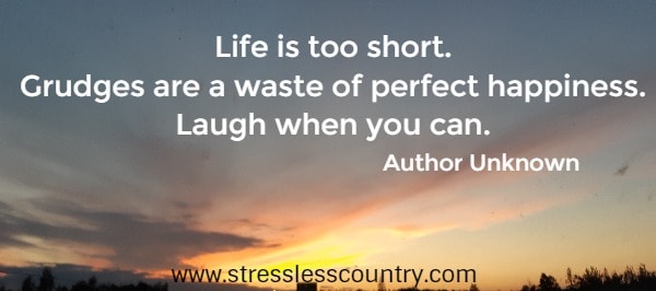 Life is too short. Grudges are a waste of perfect happiness. Laugh when you can. 