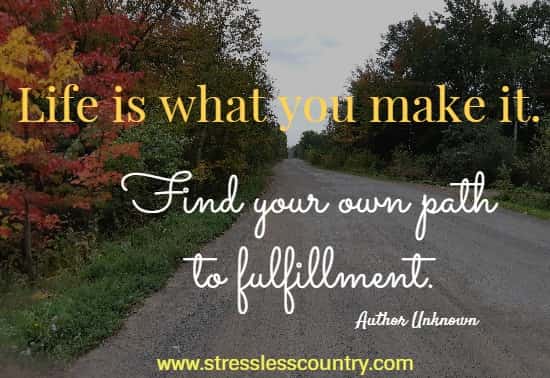 life is what you make it.  Find your own path to fulfillment