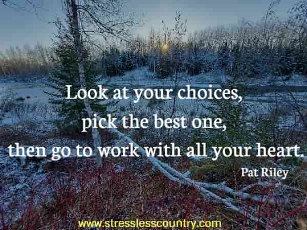 Look at your choices, pick the best one, then go to work with all your heart.