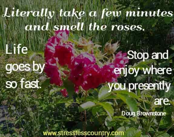 Literally take a few minutes and smell the roses. Life goes by so fast. Stop and enjoy where you presently are.Doug Brownstone