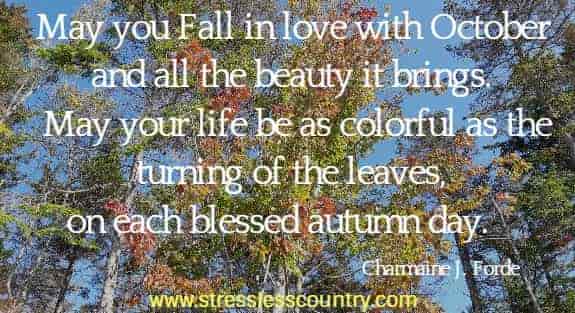 May you Fall in love with October and all the beauty it brings. May your life be as colorful as the turning of the leaves, on each blessed autumn day