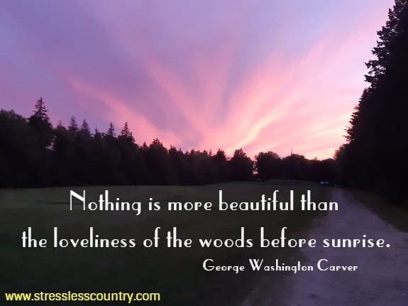 Nothing is more beautiful than the loveliness of the woods before sunrise.