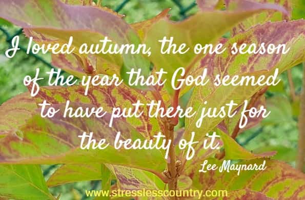 I loved autumn, the one season of the year that God seemed to have put there just for the beauty of it.