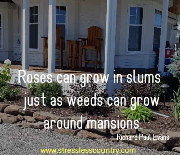 Roses can grow in slums just as weeds can grow around mansions.