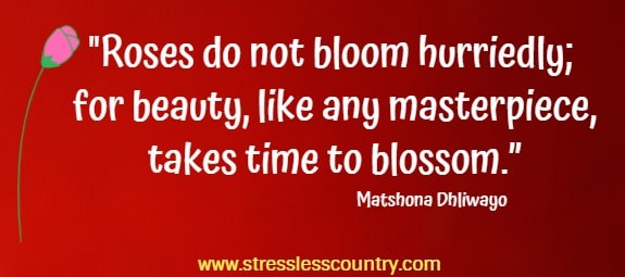 Roses do not bloom hurriedly; for beauty, like any masterpiece, takes time to blossom.”  Matshona Dhliwayo