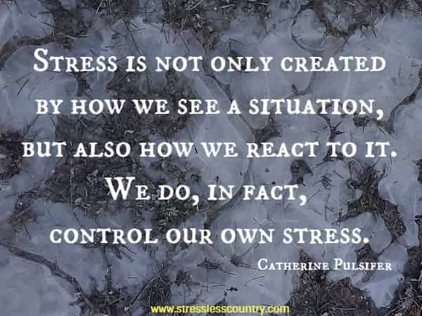 Stress is not only created by how we see a situation, but also how we react to it. We do, in fact, control our own stress.