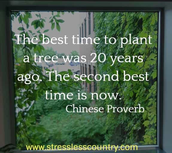 The best time to plant a tree was 20 years ago. The second best time is now. Chinese Proverb