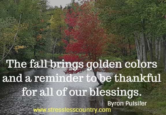 The fall brings golden colors and a reminder to be thankful for all of our blessings.