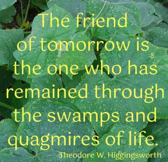 The friend of tomorrow is the one who has remained through the swamps and quagmires of life.