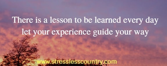 there is a lesson to be learned every day let your experience guide your way