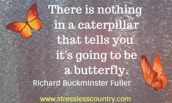 there is nothing in a caterpillar that tells you it's going to be a butterfly Richard Buckminster Fuller