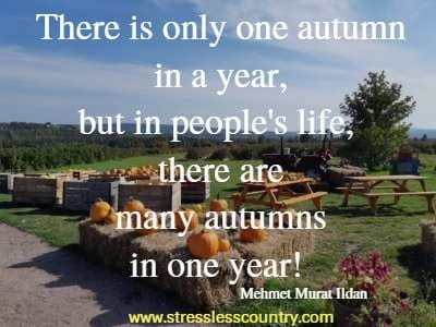 There is only one autumn in a year, but in people's life, there are many autumns in one year!
